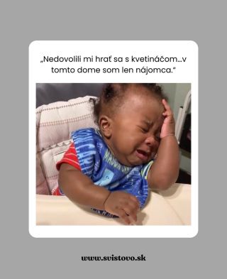 Keď ti nedovolia hrať sa s kvetináčom… a uvedomíš si, že si len nájomca života 😂🌱 Sleduj 👉 @svistovo.sk￼ pre viac...